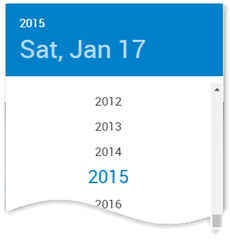 Confirm Traveller Details_1_13.png