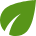 green_leaf.png
